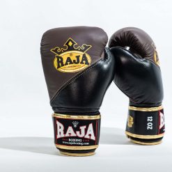 Alternative view of Raja Air 2