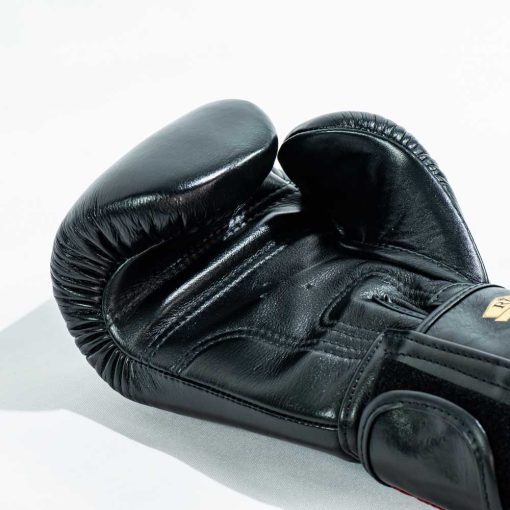 RAJA Boxing V1 Semi Black Boxing Gloves - Image 4