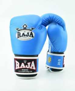 Alternative view of RBGV-1 Raja Single (Light Blue)
