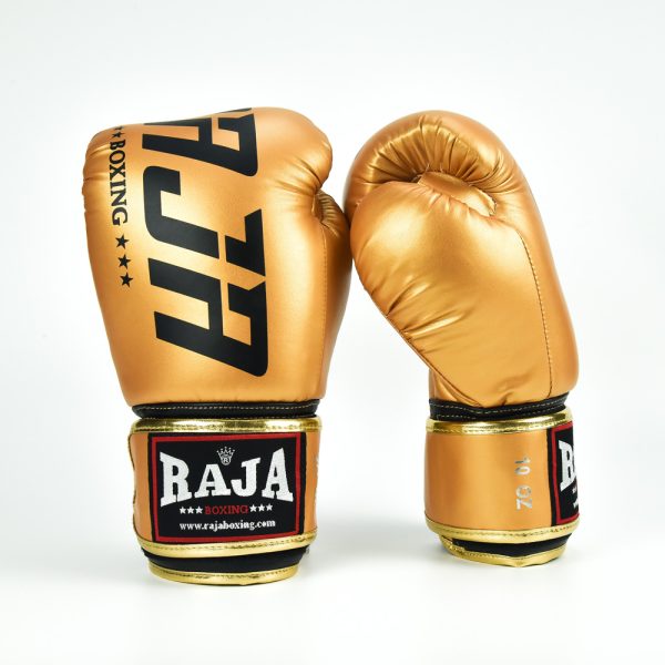 Raja Gloves Semi Leather Model 2 RAJA BOXING