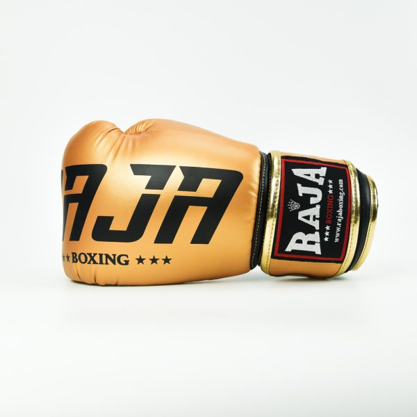 Raja Gloves Semi Leather Model 2 RAJA BOXING