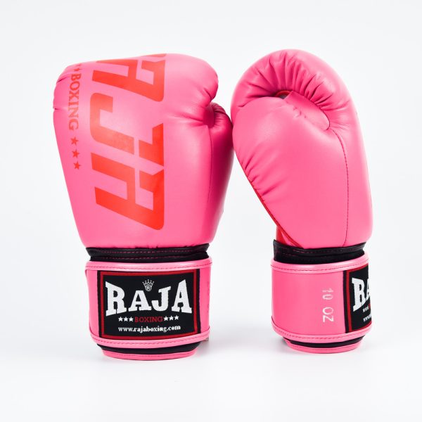 Raja Gloves Semi Leather Model 2 RAJA BOXING