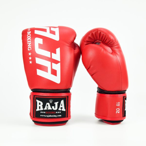 Raja Gloves Semi Leather Model 2 RAJA BOXING