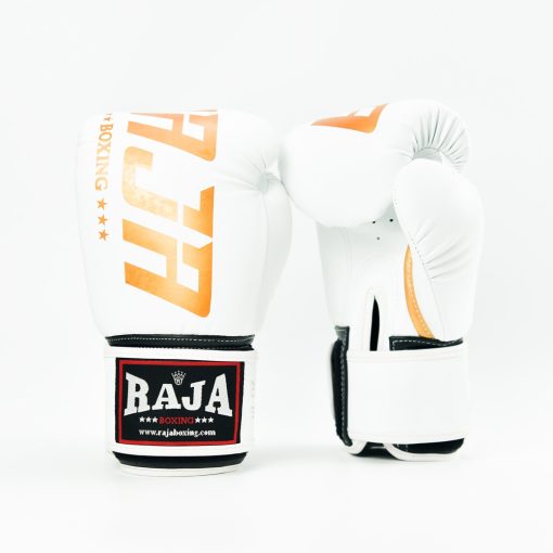 Raja Gloves Semi Leather Model 2