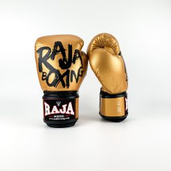 Alternative view of RBGV-V4 Raja Gloves Model 4