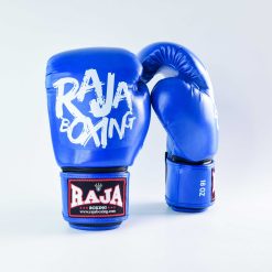 Alternative view of RBGV-V4 Raja Gloves Model 4