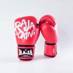 Alternative view of RBGV-V4 Raja Gloves Model 4