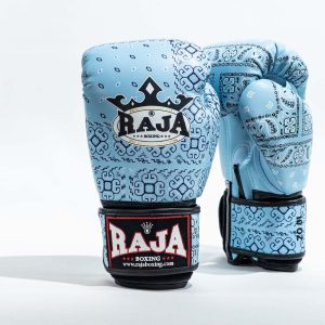 Details about   Raja Boxing Gloves for Training Muay Thai MMA Kickboxing Focus Pad Punch Bag 