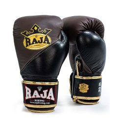 Raja Air 2