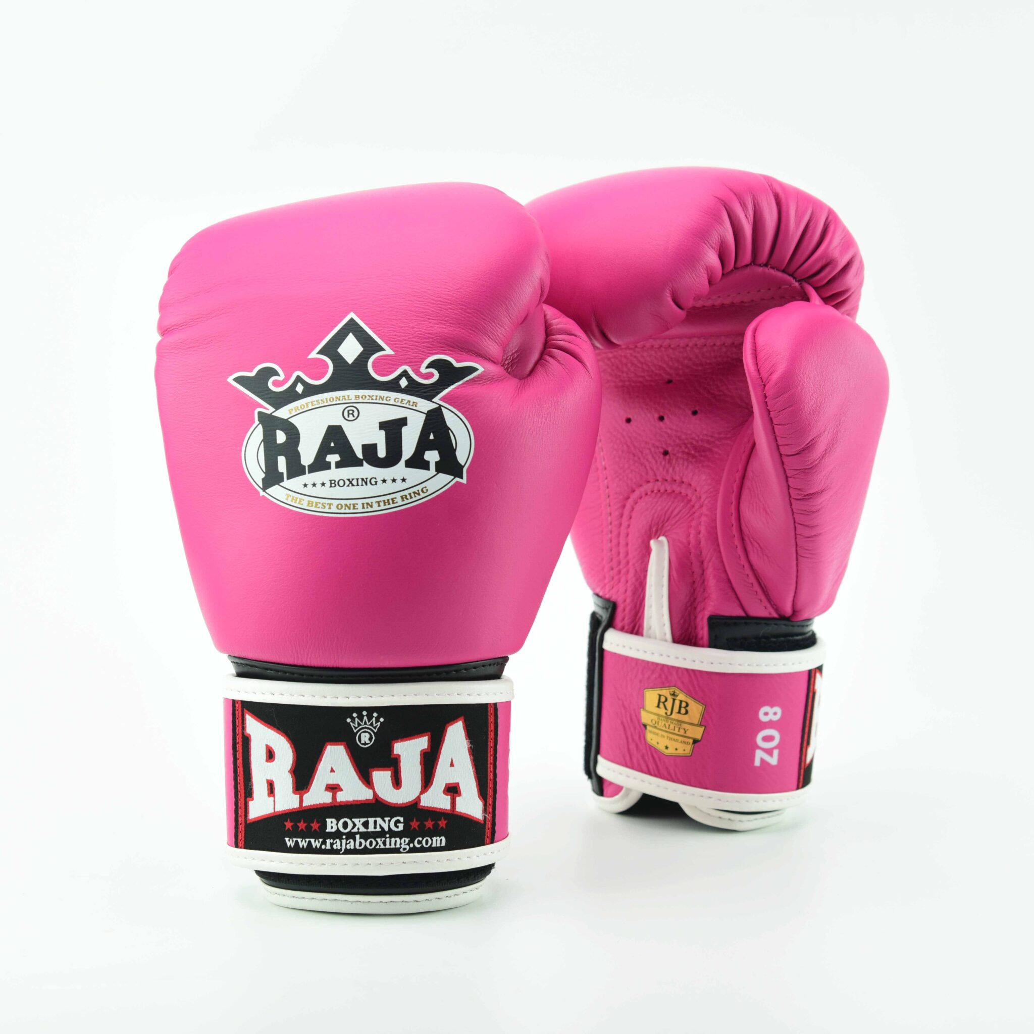 Gloves RAJA BOXING