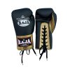RPBGL-1 Premium gloves Raja Single lace up (Black/Gold)