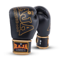 Alternative view of RBGV-1A Raja Origin (Black)