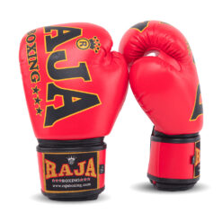 Alternative view of RBGV-1A Raja Origin ( Red )