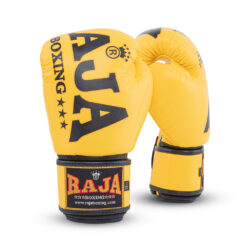 Alternative view of RBGV-1A Raja Origin (Yellow)