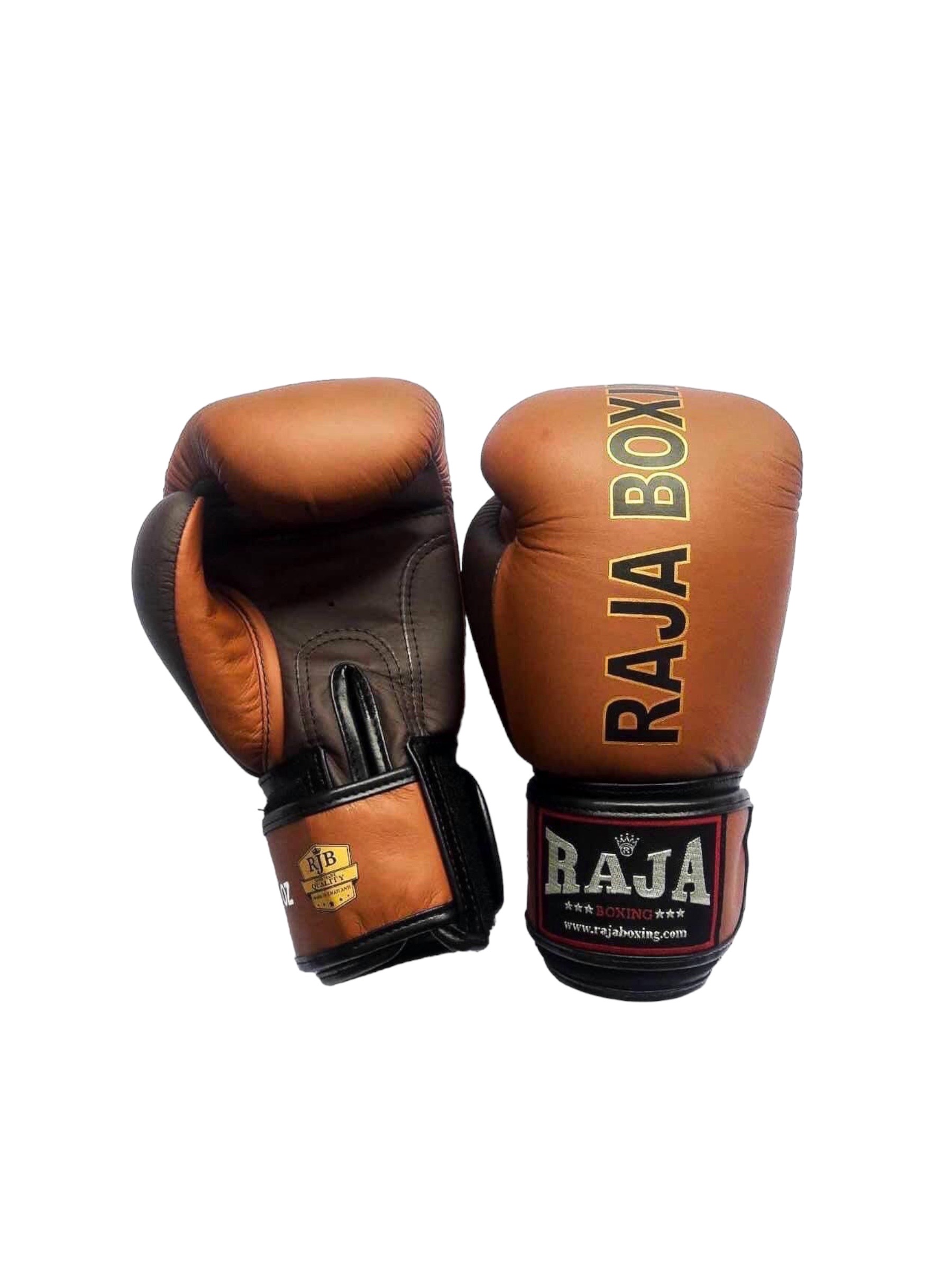 RAJA ラジャ キックボクシンググローブ RJB-P1-1 Premium 恐れている gloves ダークレ