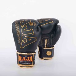 RBGV-1A Raja Origin (Black)