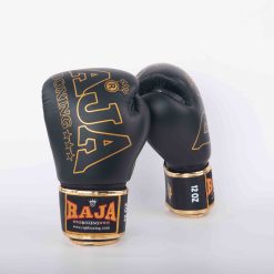 Alternative view of RBGV-1A Raja Origin (Black)