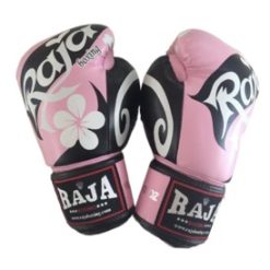 RFBGV-7 Raja Fancy Raja Hibiscus