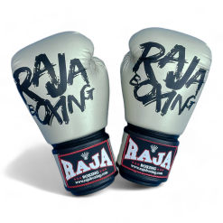 RBGV-V4 Raja Gloves Model 4 (Gray bronze)