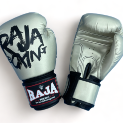 Alternative view of RBGV-V4 Raja Gloves Model 4 (Gray bronze)