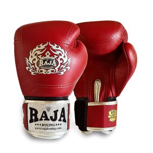 Gloves – RAJA BOXING