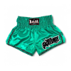 RTB29-4 RAJA MuayThai Shorts (JadeGreen)
